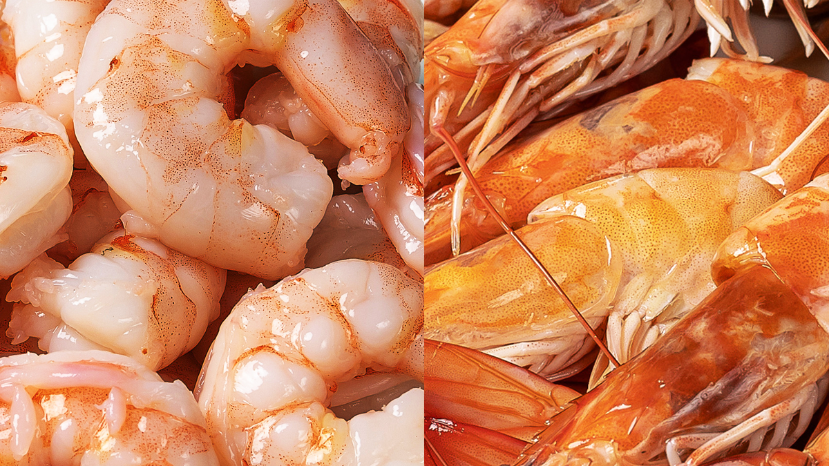 Juicy Shrimp